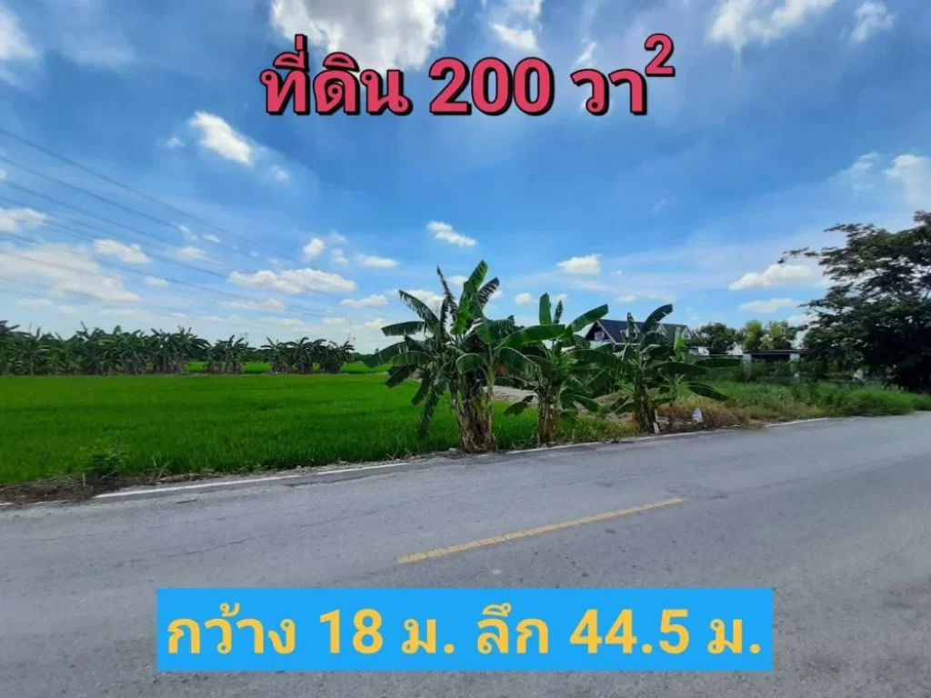 ขายที่ดินไทรน้อย 200 ตารางวา ซอยโรงเรียนบ้านคลองฝรั่ง เหมาะสร้างบ้านโกดัง ถนน บางกรวย-ไทรน้อ