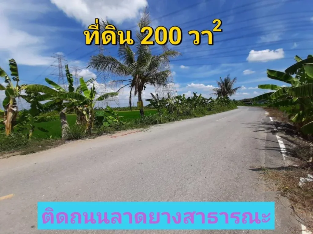 ขายที่ดินไทรน้อย 200 ตารางวา ซอยโรงเรียนบ้านคลองฝรั่ง เหมาะสร้างบ้านโกดัง ถนน บางกรวย-ไทรน้อ