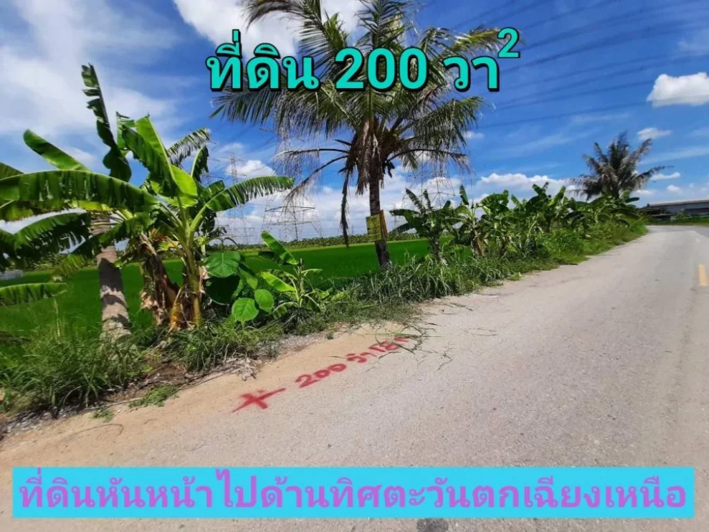 ขายที่ดินไทรน้อย 200 ตารางวา ซอยโรงเรียนบ้านคลองฝรั่ง เหมาะสร้างบ้านโกดัง ถนน บางกรวย-ไทรน้อ