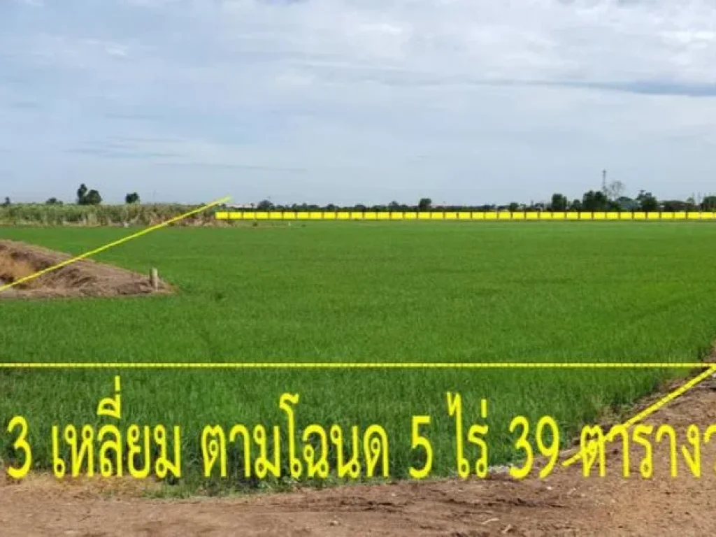 ขายด่วนที่ดินเนื้อที่ 5 ไร่ 39 ตรว ตบ้านป้อม อพระนครศรีอยุธยา จพระนครศรีอยุธยา BLAL0496