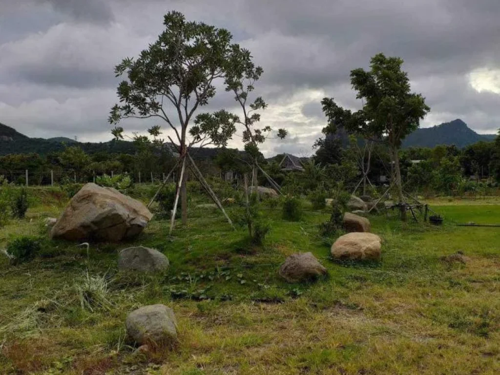 ขายที่ดิน อแก่งคอย จสระบุรี ที่ดินสวย ที่ดินพร้อมสิ่งปลูกสร้าง