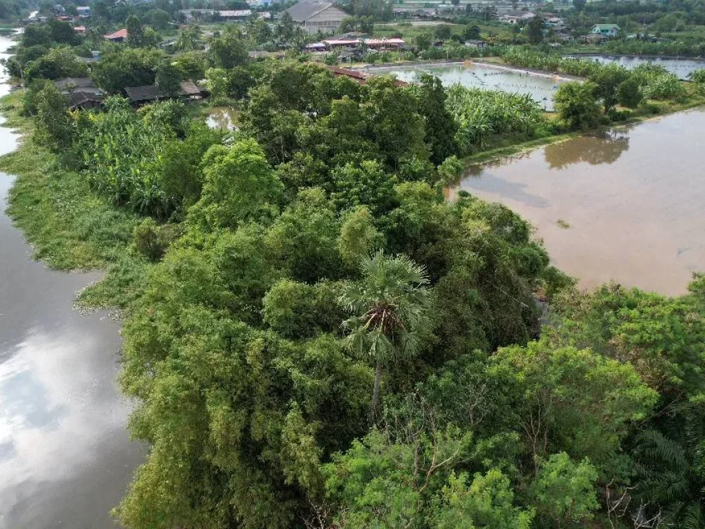 ขายที่ดิน 10 ไร่ ราคาถูก ติดคลอง ใกล้แยกตลาดไผ่ดำ จ ฉะเชิงเทราCHA-187