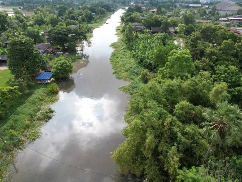 ขายที่ดิน 10 ไร่ ราคาถูก ติดคลอง ใกล้แยกตลาดไผ่ดำ จ ฉะเชิงเทราCHA-187