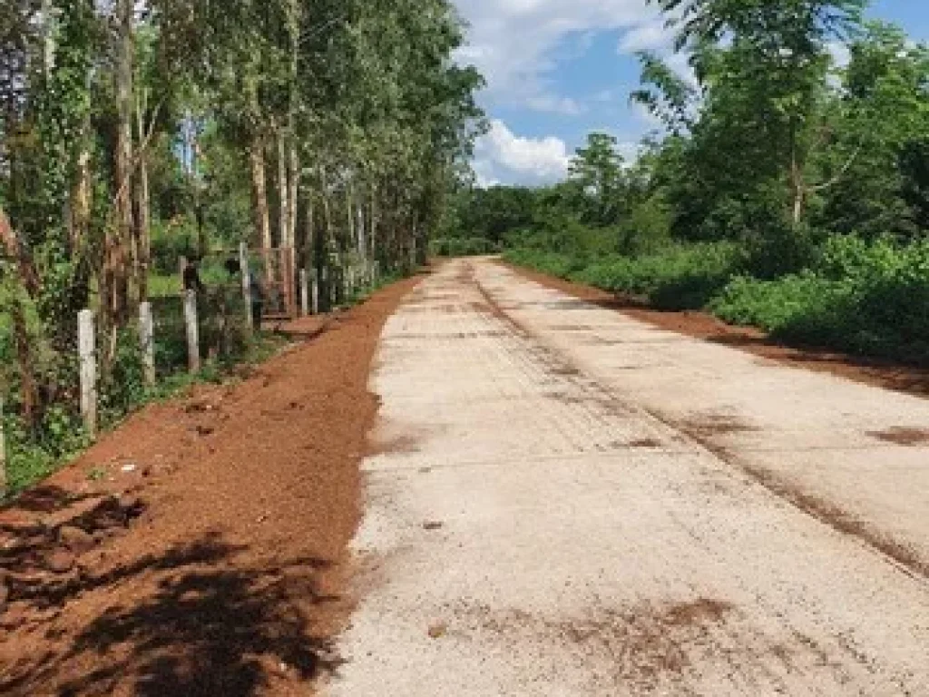 ขายที่ดินเปล่า เหมาะสำหรับทำบ้านสวน สองแปรงติตกัน อยู่ที่ตำบลเชียงเครือ อำเภอเมืองจังหวัดสกลนคร