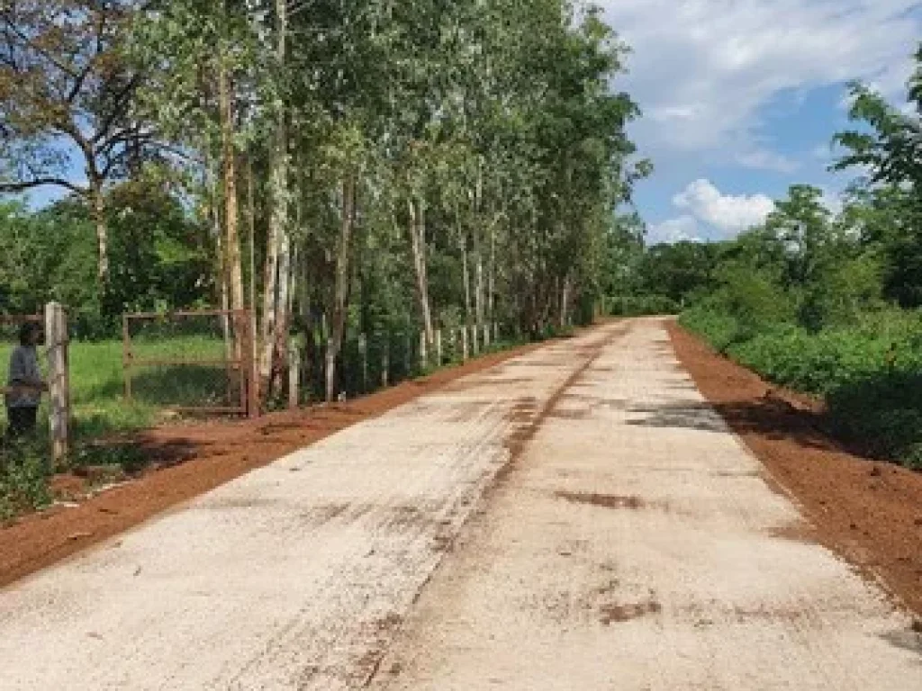 ขายที่ดินเปล่า เหมาะสำหรับทำบ้านสวน สองแปรงติตกัน อยู่ที่ตำบลเชียงเครือ อำเภอเมืองจังหวัดสกลนคร