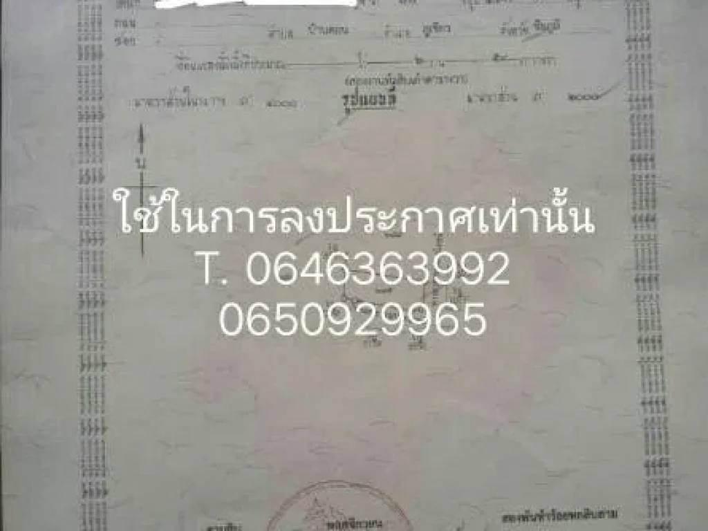 ขายถูกที่ดินเปล่า มีไฟฟ้าน้ำประปา พื้นที่อำเภอภูเขียว จังหวัดชัยภูมิ