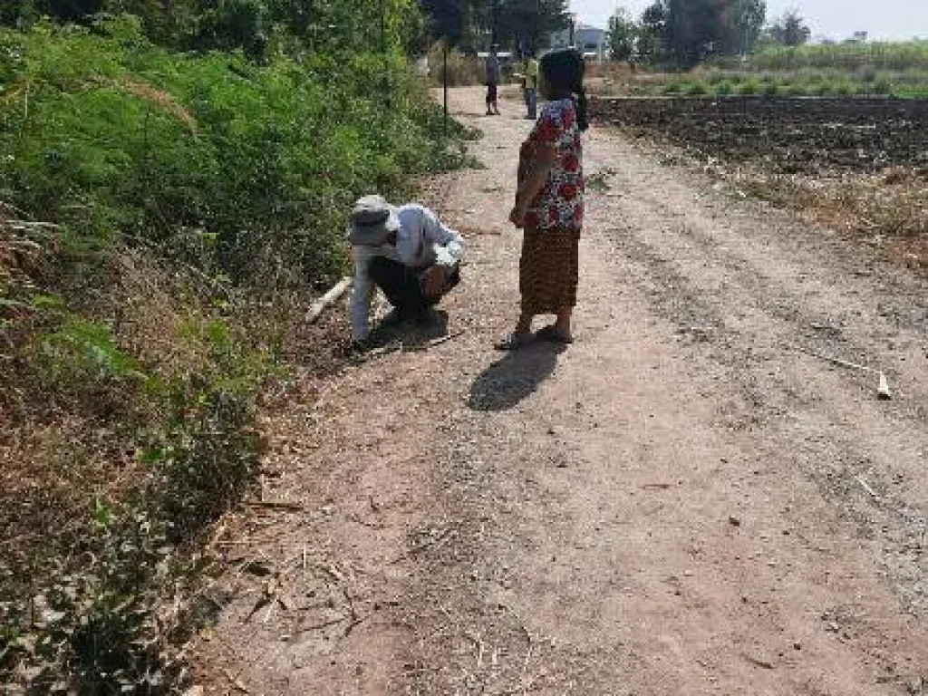 ขายถูกที่ดินเปล่า มีไฟฟ้าน้ำประปา พื้นที่อำเภอภูเขียว จังหวัดชัยภูมิ