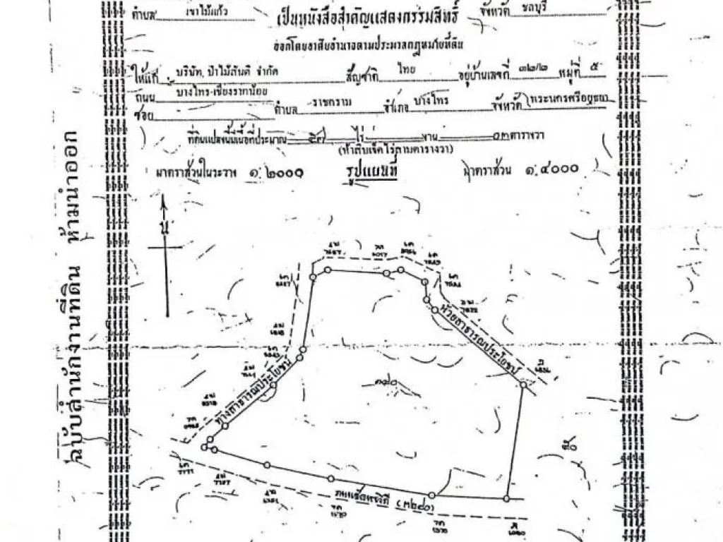 ขายที่ดิน ทำเลดี เหมาะสำหรับสร้างธุรกิจ บางละมุง จังหวัดชลบุรี