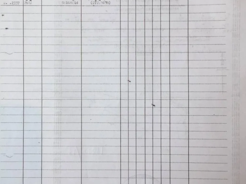 ขายด่วน ที่นา 15 ไร่ ติดห้วยกุดผักไร อจัตุรัส จชัยภูมิ