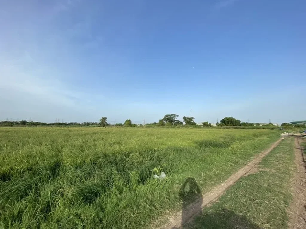 ขายด่วนมาก ที่ดินทำเลทองในกทม สุวินทวงศ์13แยก2 เขตมีนบุรี