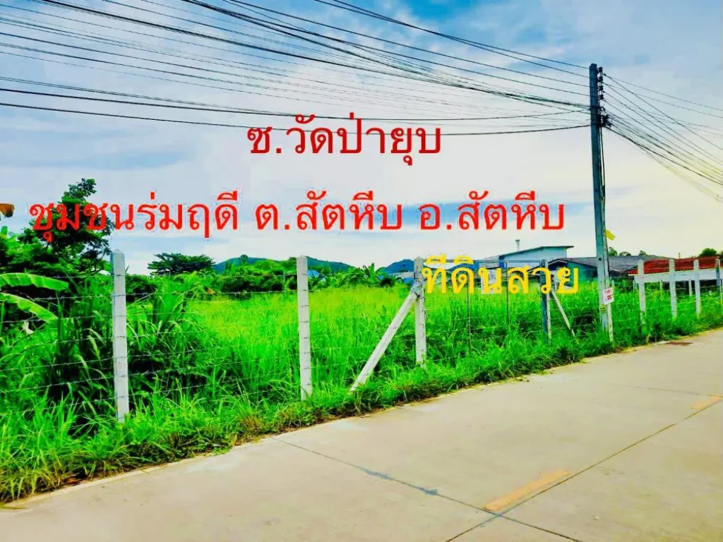 ขายที่ดินใจกลางเมืองสัตหีบ ใกล้รรสิงห์สมุทร ซอยวัดป่ายุบ ตสัตหีบ จชลบุรี