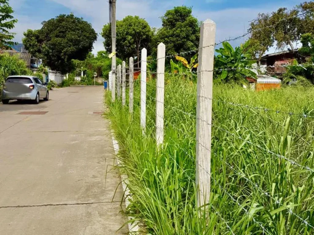 ขายที่ดินใจกลางเมืองสัตหีบ ใกล้รรสิงห์สมุทร ซอยวัดป่ายุบ ตสัตหีบ จชลบุรี