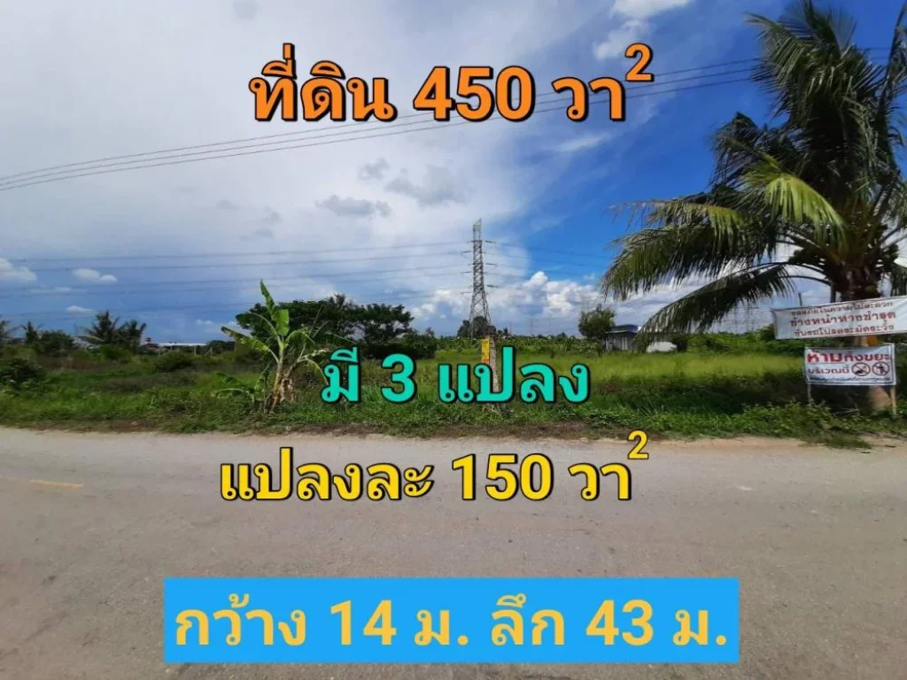 ขายที่ดินไทรน้อย 150 ตารางวา มี 3 แปลงติดกัน เหมาะสร้างบ้าน ซอยโรงเรียนบ้านคลองฝรั่ง