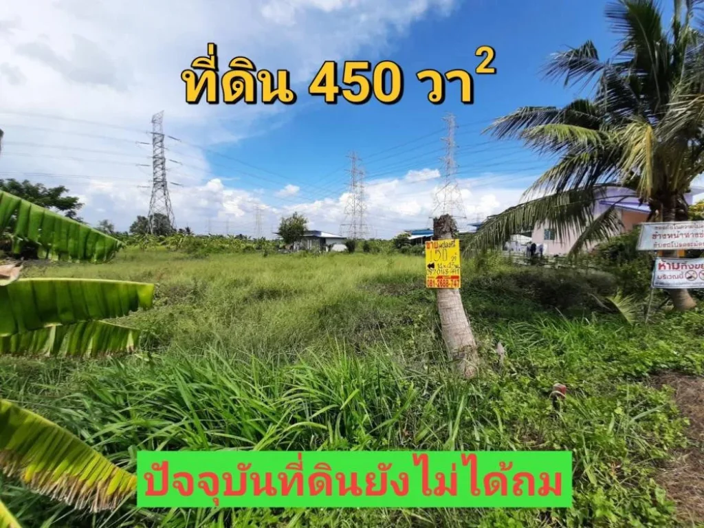 ขายที่ดินไทรน้อย 150 ตารางวา มี 3 แปลงติดกัน เหมาะสร้างบ้าน ซอยโรงเรียนบ้านคลองฝรั่ง