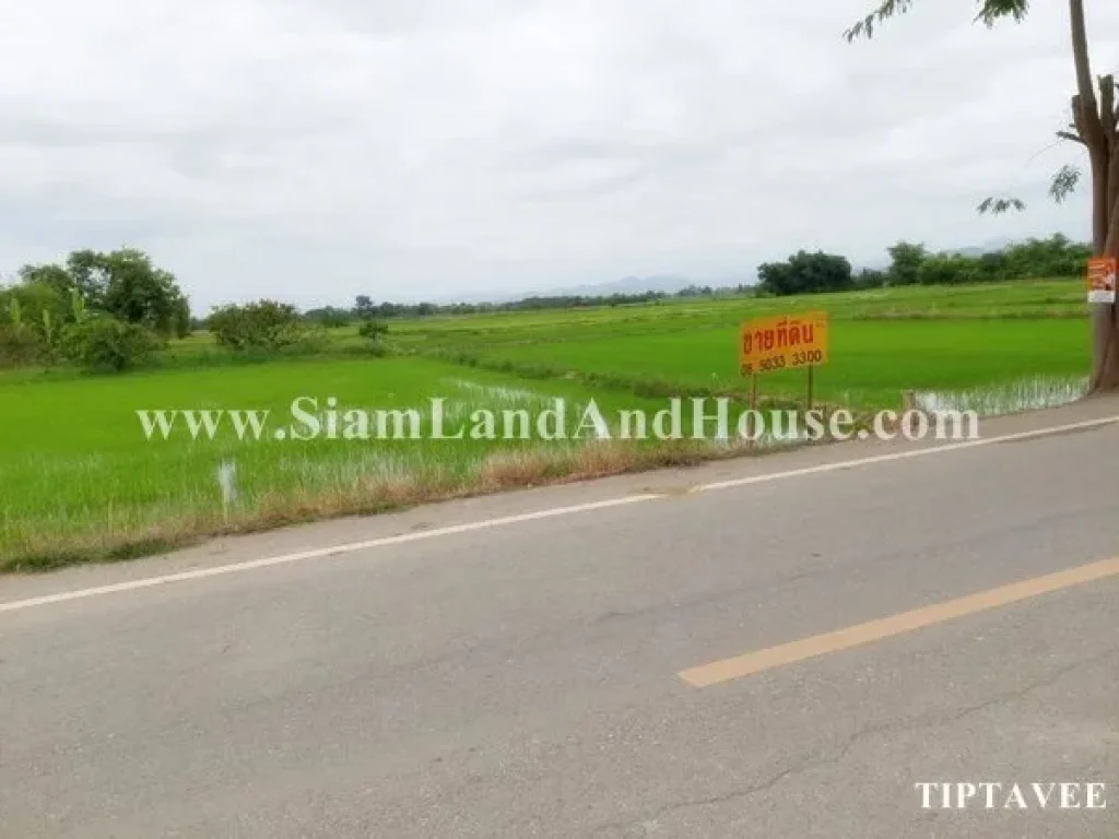 ขายที่ดินเชียงใหม่ บวกค้าง สันกำแพง เชียงใหม่ Sale Land Near Wat Rang Kongkhao Sankampheang Chiangmai THAILAND