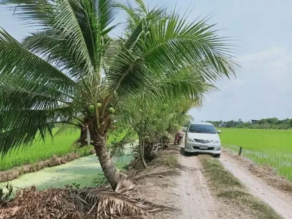 ขายด่วนบ้านเดี่ยวติดทะเลหาดส่วนตัว พัทยาเหนือ เนื้อที่ 326 ตรว อบางละมุง จชลบุรี BLAH0269