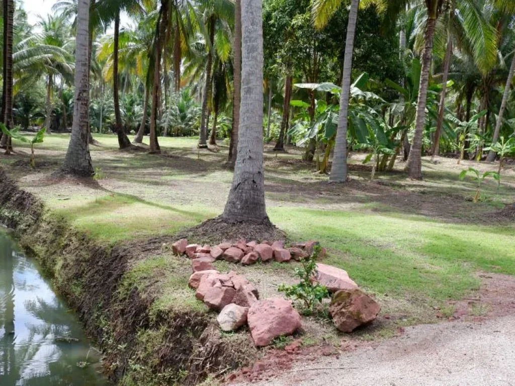 ที่ดินทำเลสวย ราคาถูก สนใจพิเศษต่อรองได้ อำเภอบางคนที ติดคลองบางคนที