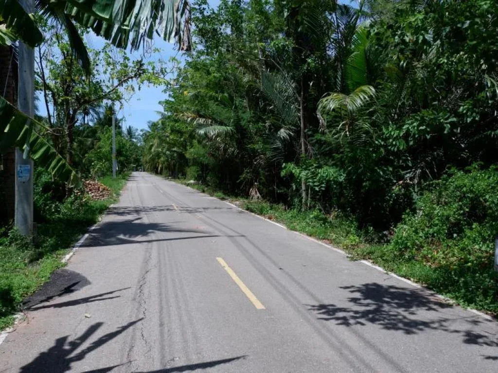 ที่ดินแปลงใหญ่ทำเลสวย ห่างถนนเส้นหลักสมุทรสงคราม-บางแพ เพียง 350 เมตร