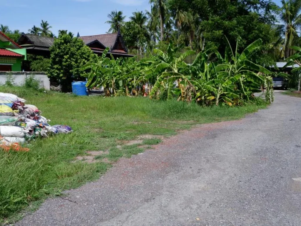 ี่ดินทำเลสวย ห่างถนนเส้นหลักสมุทรสงคราม-บางแพ เพียง 250 เมตร