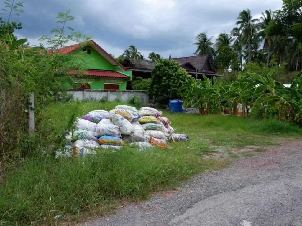 ี่ดินทำเลสวย ห่างถนนเส้นหลักสมุทรสงคราม-บางแพ เพียง 250 เมตร