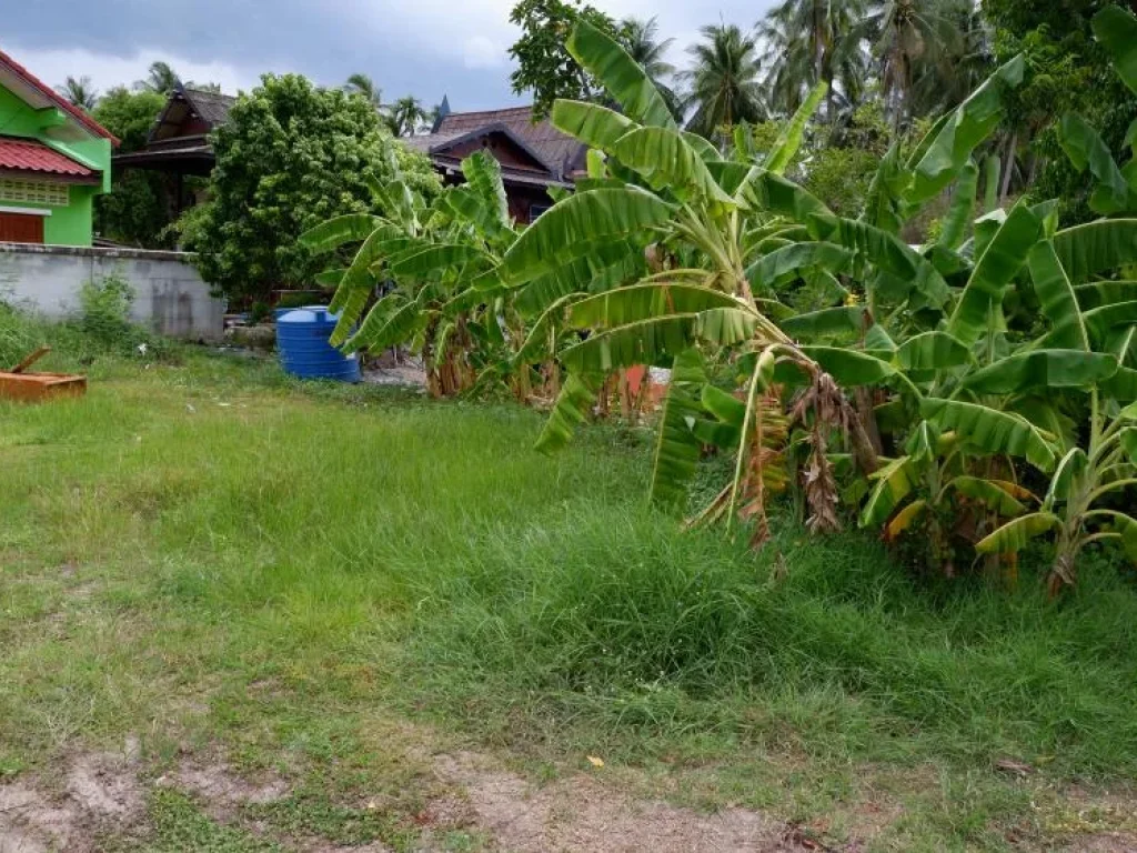 ี่ดินทำเลสวย ห่างถนนเส้นหลักสมุทรสงคราม-บางแพ เพียง 250 เมตร