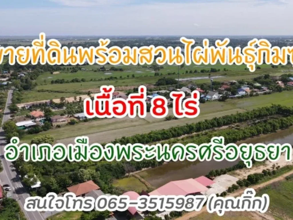 ขายที่ดินสวย บรรยากาศดี อำเภอพระนครศรีอยุธยาขายสวนไผ่ 8 ไร่ 1 งาน 17 ตรว