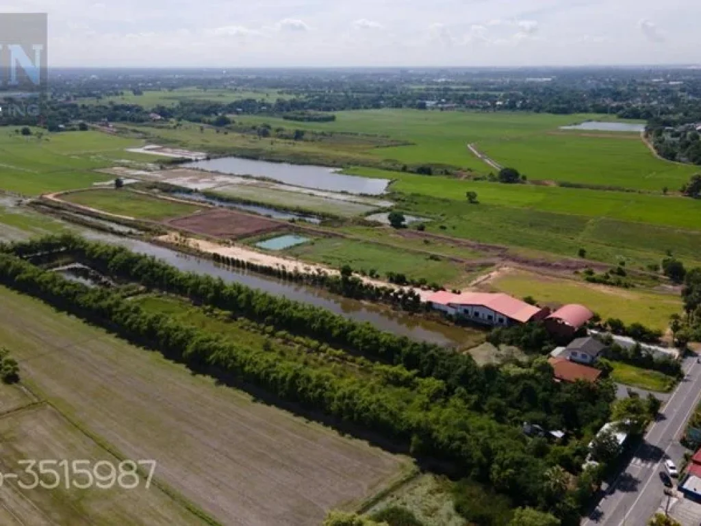 ขายที่ดินสวย บรรยากาศดี อำเภอพระนครศรีอยุธยาขายสวนไผ่ 8 ไร่ 1 งาน 17 ตรว