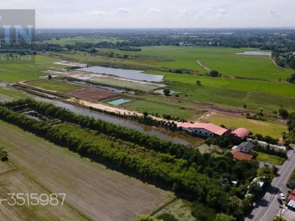 ขายที่ดินสวย บรรยากาศดี อำเภอพระนครศรีอยุธยาขายสวนไผ่ 8 ไร่ 1 งาน 17 ตรว