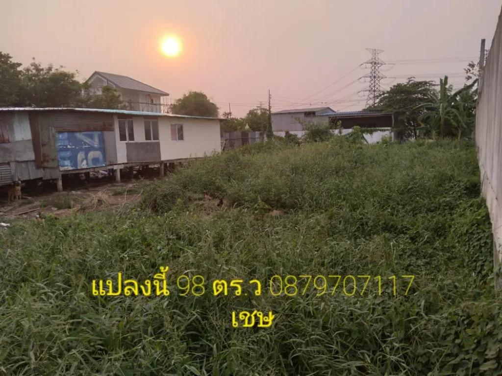 ที่สวย ทำเลดี 98 ตรว ใกล้ถนนไทรน้อย เหมาะทำห้องเช่า บ้าน ติดถนน 2 ด้าน