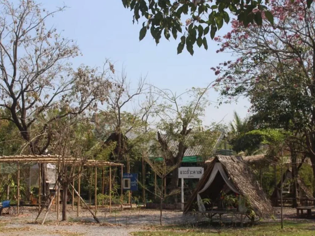 ขายที่ดินพร้อมสิ่งปลูกสร้าง สถานีแวะถั่วะ ติดถนนมิตรภาพ ตโตนด อโนนสูง จนครราชสีมา