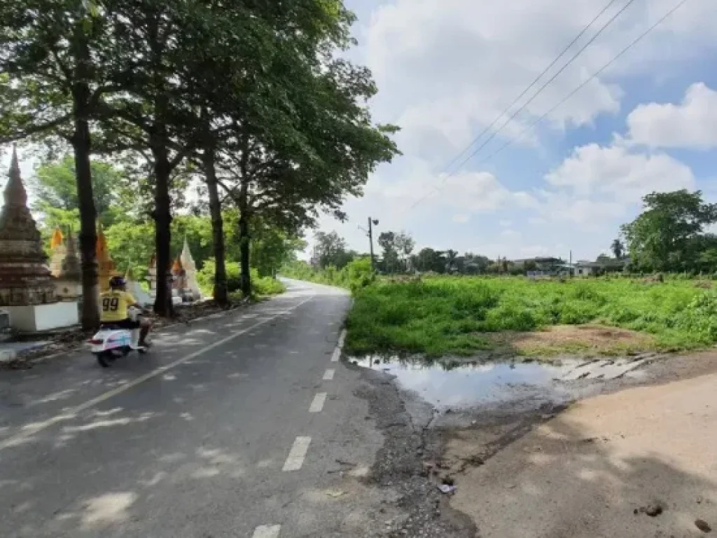 ขายด่วนที่ดิน ย่านวัดไร่เกาะต้นสำโรง ถ เสาหงษ์ ต พระประโทน อ เมือง จ นครปฐม BLYL0125