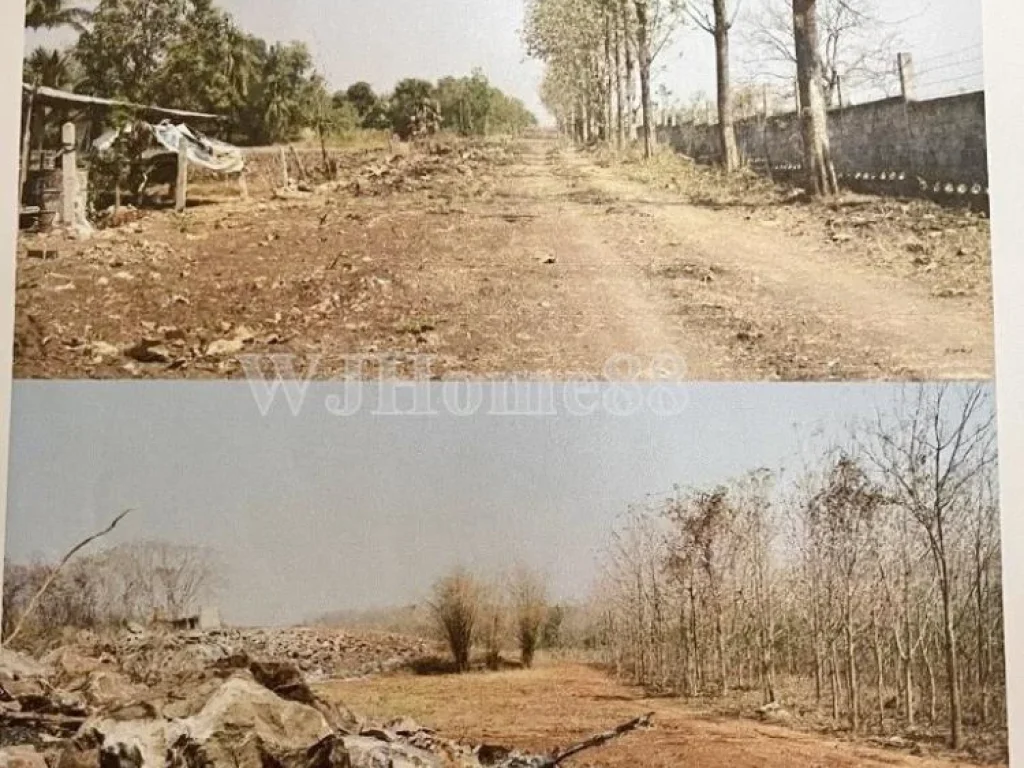 ขายที่ดิน 100-3-87 ไร่ ตำบลวังไทร ปากช่อง แปลงสวยวิวภูเขา