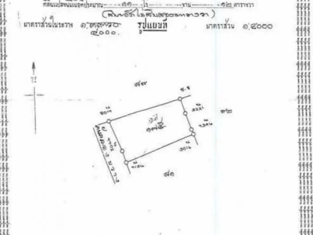 ขายด่วนที่ดิน เนื้อที่ 11 ไร่ 12 ตรว ตำบล ท้ายเกาะ อำเภอสามโคก ปทุมธานี BLYL0115