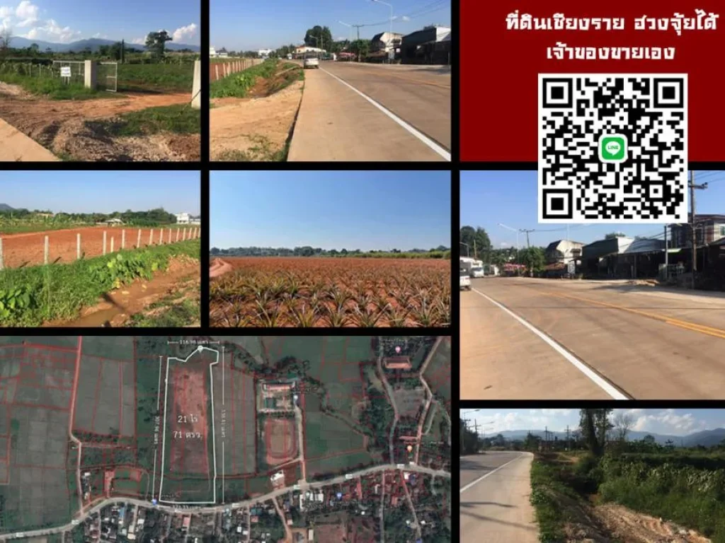 ขายที่ดิน ที่ดิน 21 ไร่ ม่วงคำ ตนางแล อเมือง จเชียงราย