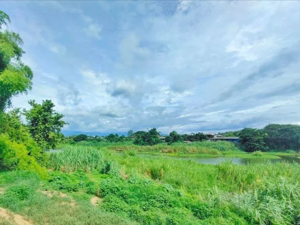 ขายที่ดินติดถนนติดริมน้ำ ป่าซาง ลำพูน พร้อมโอน ราคาถูก