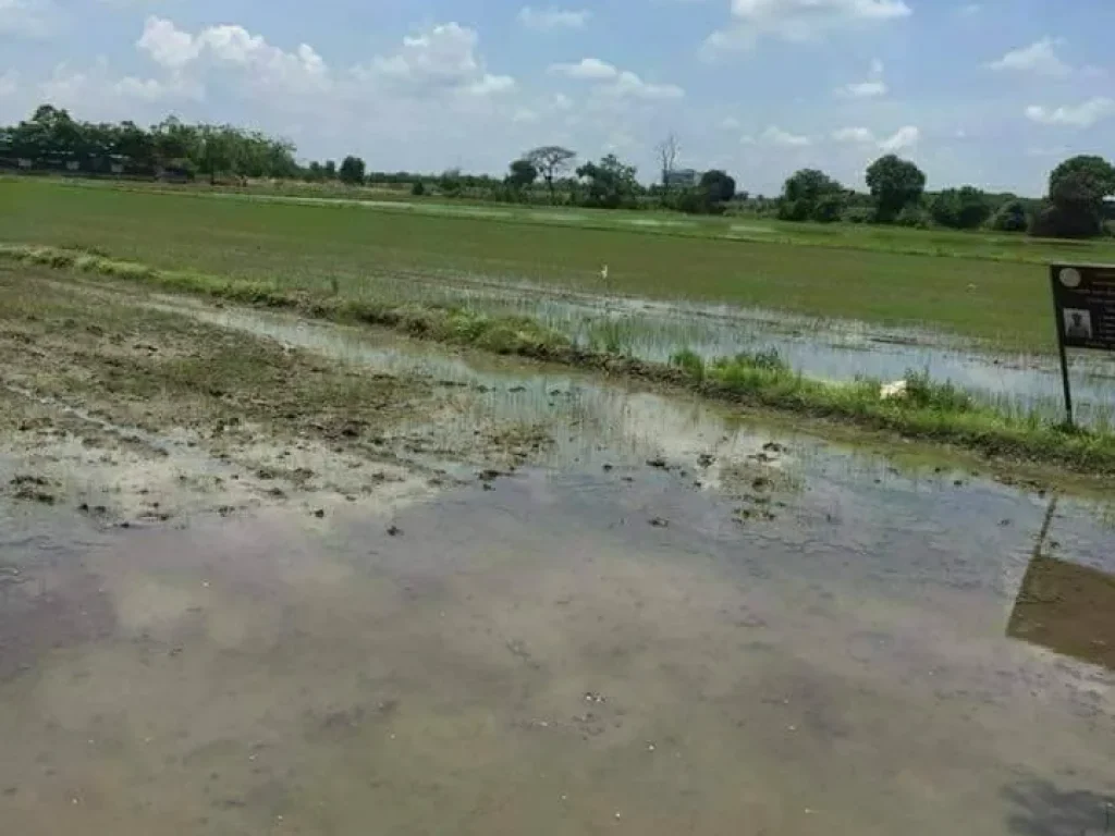 ขายที่ดิน 40 ไร่ อำเภอธัญบุรี คลอง10 จังหวัดปทุมธานี เจ้าของขายเอง