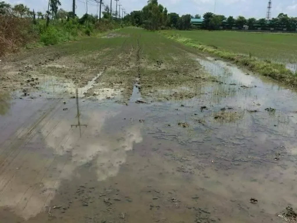 ขายที่ดิน 40 ไร่ อำเภอธัญบุรี คลอง10 จังหวัดปทุมธานี เจ้าของขายเอง