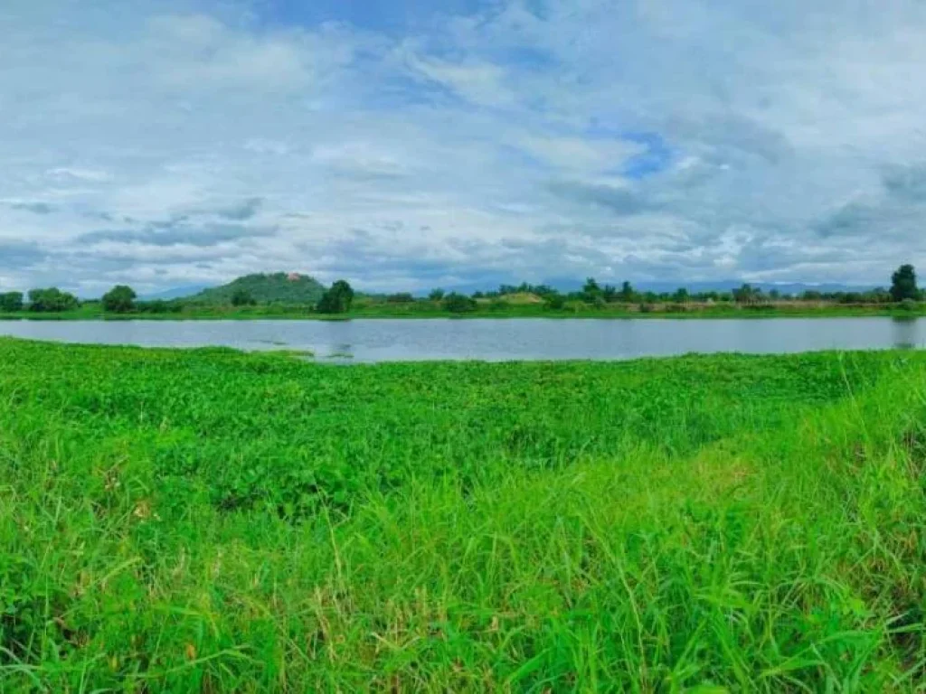 ขายที่ดินติดถนนติดแม่น้ำ บ้านน้ำดิบป่าซาง ลำพูนโฉนดพร้อมโอน