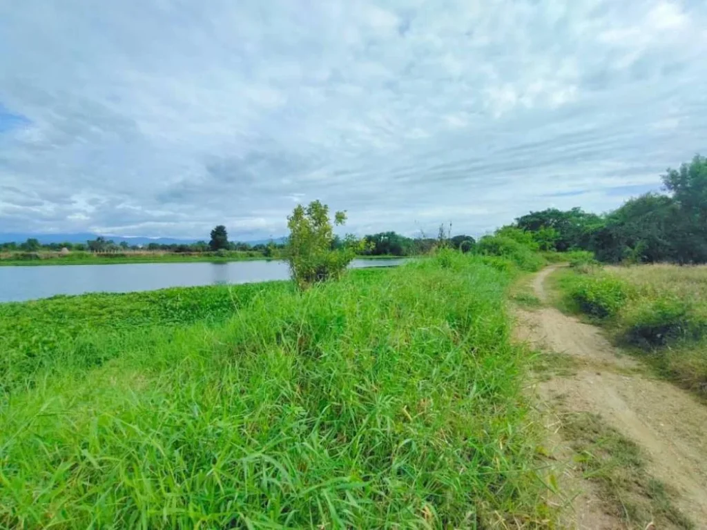 ขายที่ดินติดถนนติดแม่น้ำ บ้านน้ำดิบป่าซาง ลำพูนโฉนดพร้อมโอน