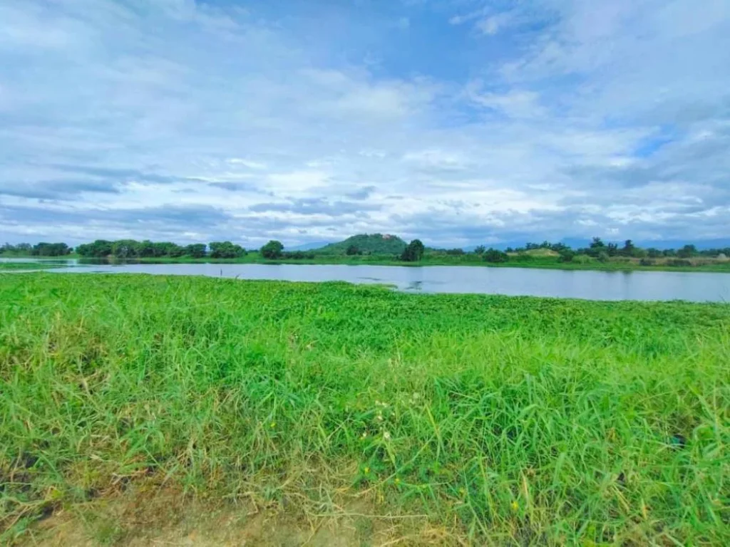 ขายที่ดินติดถนนติดแม่น้ำ บ้านน้ำดิบป่าซาง ลำพูนโฉนดพร้อมโอน