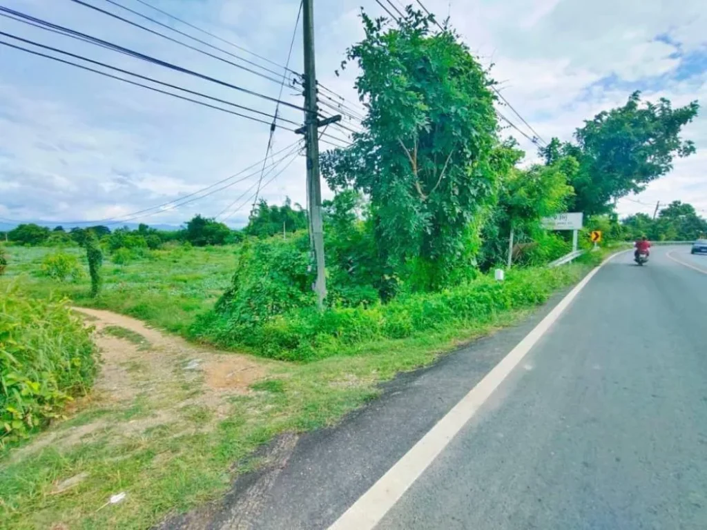 ขายที่ดินติดถนนติดแม่น้ำ บ้านน้ำดิบป่าซาง ลำพูนโฉนดพร้อมโอน