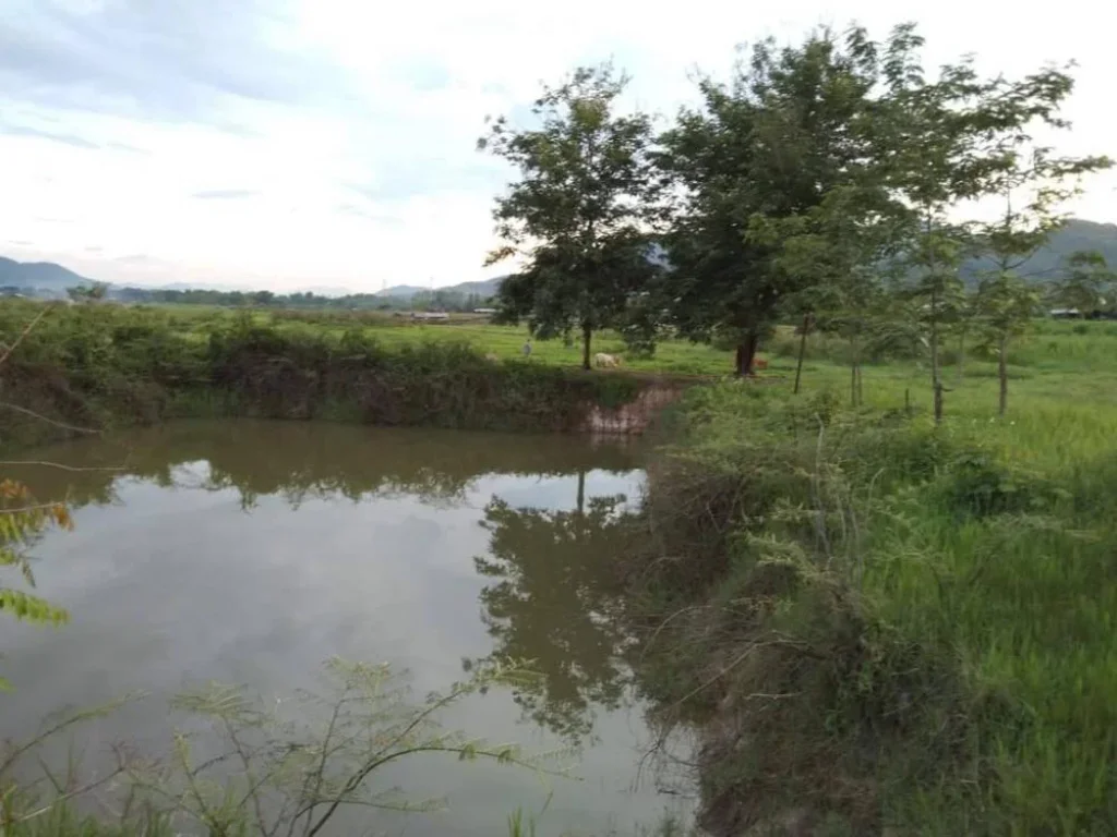 ขายที่สวนติดภูเขา วิวธรรมชาติ บ้านป่าตึงใต้ ลำพูน โฉนดพร้อมโอน