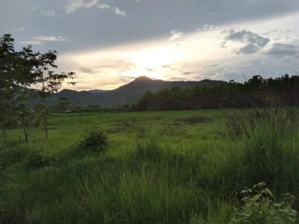 ขายที่สวนติดภูเขา วิวธรรมชาติ บ้านป่าตึงใต้ ลำพูน โฉนดพร้อมโอน