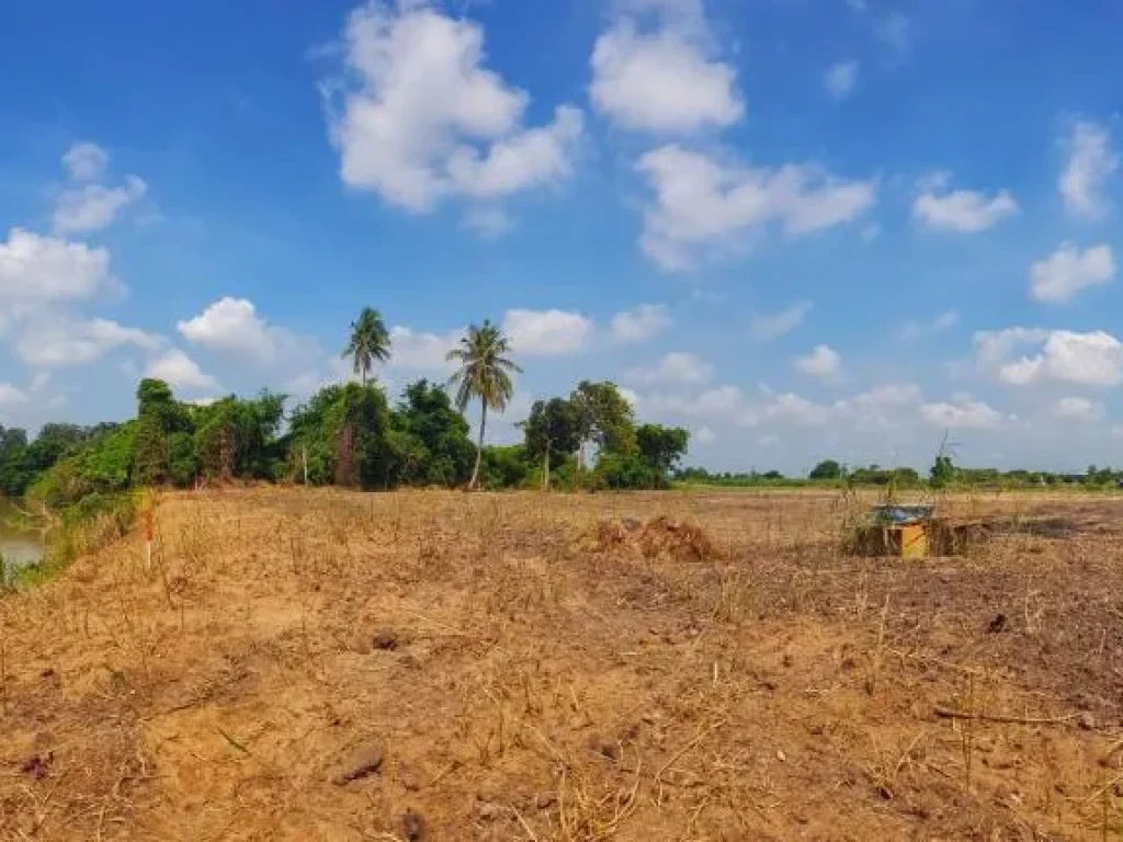 ที่ดินติดริมแม่น้ำ อยุธยา ถมสูงน้ำไม่ท่วม อยู่ติดชุมชน