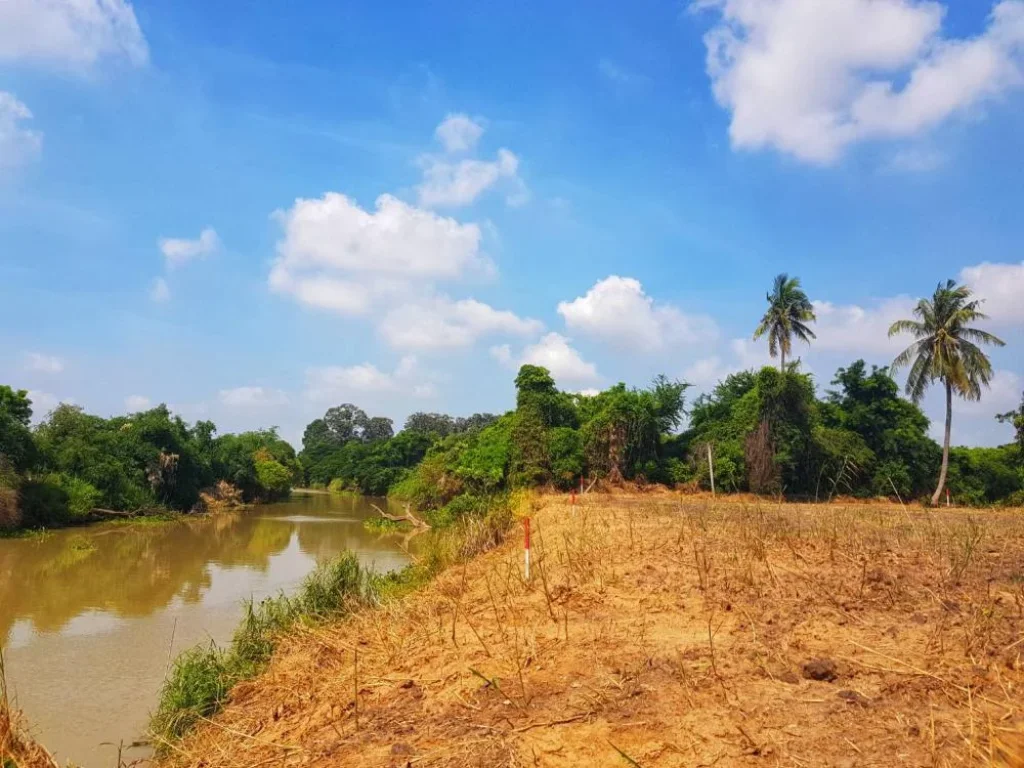 ที่ดินติดริมแม่น้ำ อยุธยา ถมสูงน้ำไม่ท่วม อยู่ติดชุมชน