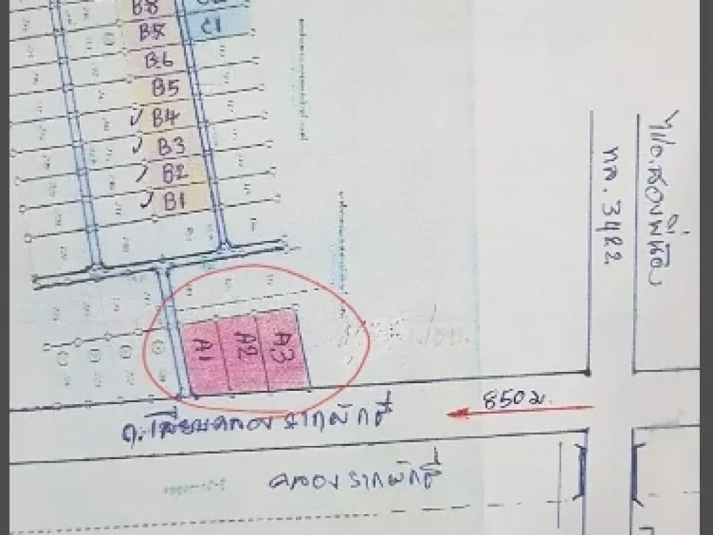 ขายที่ดินบางเลนใกล้วัดไผ่โรงวัวไร่ละไม่ถึงล้านจำนวน 9 ไร่ 2 งาน 898 ตรวา