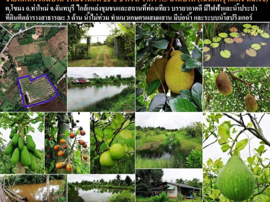 ขายที่ดินทำเลดี พร้อมสวน พร้อมบ้าน 1 หลัง ตำบลโขมง อำเภอท่าใหม่ จังหวัดจันทบุรี