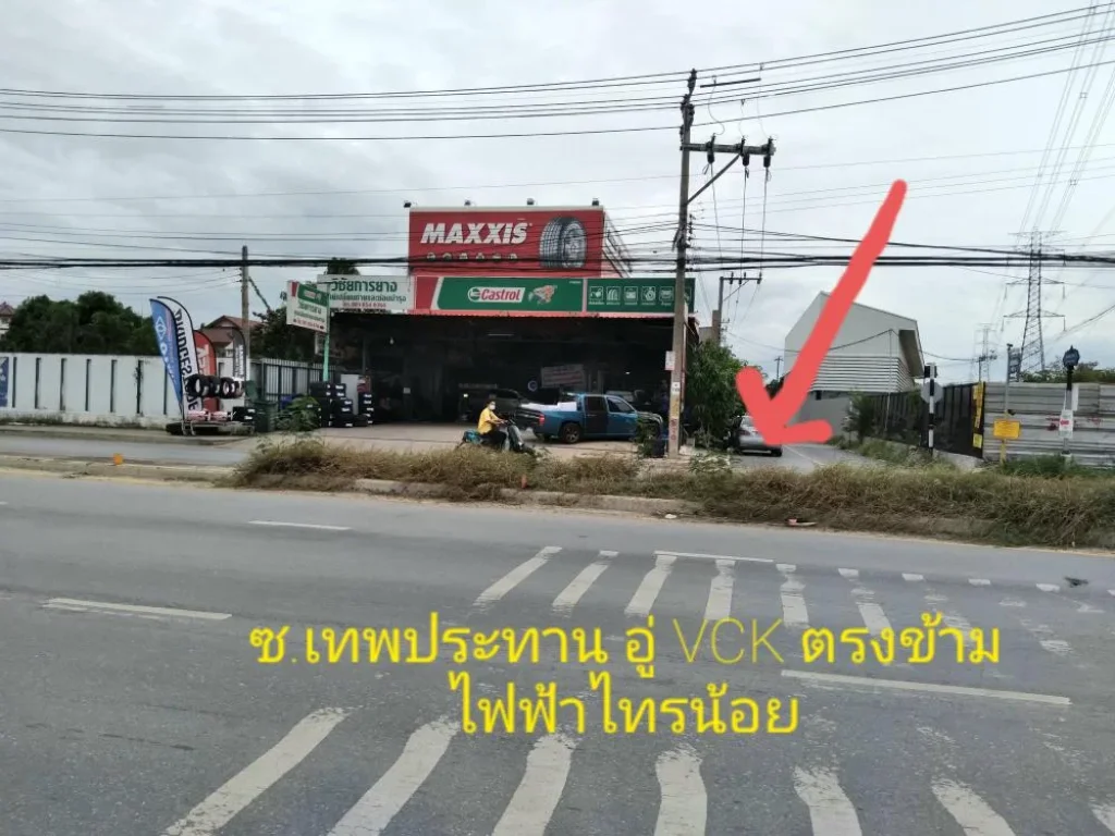 ที่ดินสวย ขาย ราคาถูก 58 ตรว ใกล้ถนนเส้นไทรน้อย แหล่งชุมชน อไทรน้อย จนนทบุรี