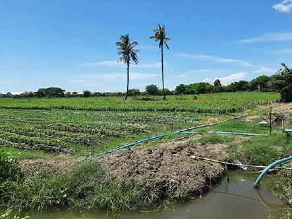 ขายที่ดินเหมาะทำเกษตร ติดถนนใหญ่สาย 340 ศรีประจันต์