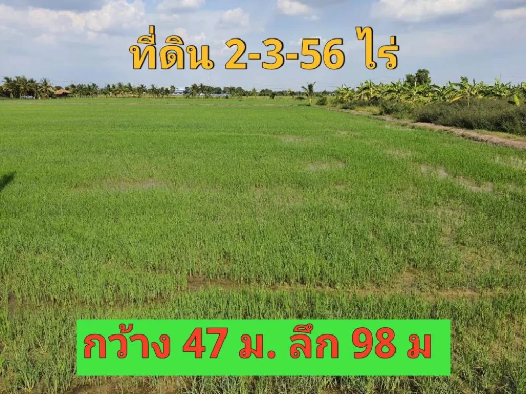 ขายที่ดินไทรน้อย 2-3-56 ไร่ ติดถนนคอนกรีตสาธารณะ ตขุนศรี จนนทบุรี